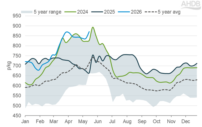 Reporting lamb price graph